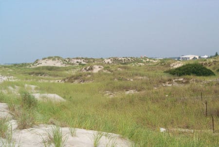The rebuilt dune